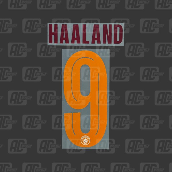 HAALAND 9 - Official Manchester City 2023/2024 Away Cup Printing